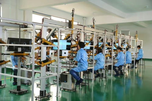 暑假工的警示 我在技術開發崗位的驚險三個月